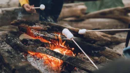 TVS Udyana apartments in medavakkam | luxury amenities |bonfire pit