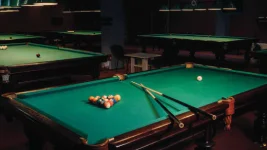 TVS Udyana apartments in medavakkam | luxury amenities |games-room