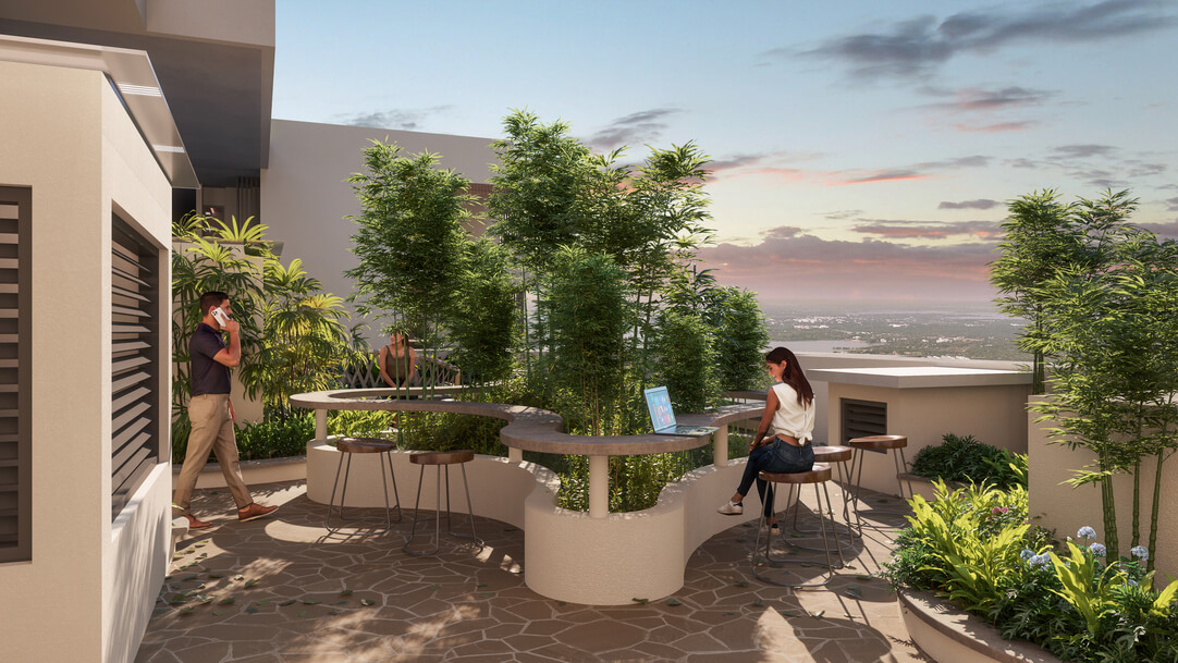 TVS Isle of trees - bamboo forest image