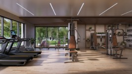 TVS Emerald Isle of Trees - Gym image